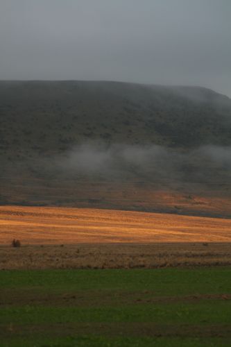 otago